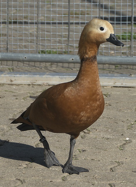 以上事件也
