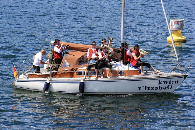 的得分心脏 的得分心脏